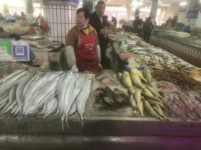 浙江水產(chǎn)市場現(xiàn)“黃金海鮮” 一斤飆至五百元，朋友圈里的價格驚嘆號