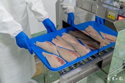開辟“預制菜”新賽道，大黃魚游向水產品市場藍海